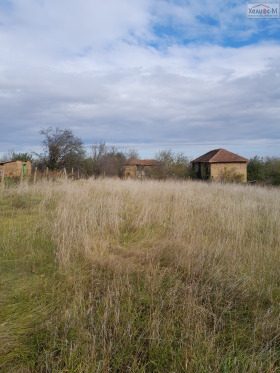 ������� ������ | Imot.bg � ����� ������ 12