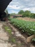 Продава КЪЩА, област Стара Загора, с. Калояновец • 50000 € / 97791.50 лв. • 13936152 6