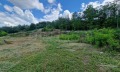 Продава  Парцел област София , с. Бахалин , 3644 кв.м | 87539589 - изображение [10]
