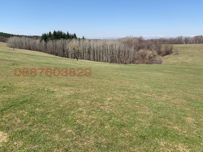 ������� ������ | Imot.bg � ����������� 1