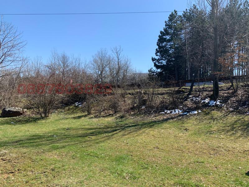 ������� ������ | Imot.bg � ����������� 7