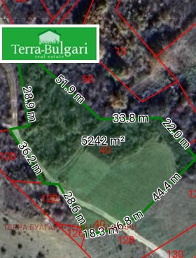 ����� ������� ���������� ����,�. ������ ������, ������ ������