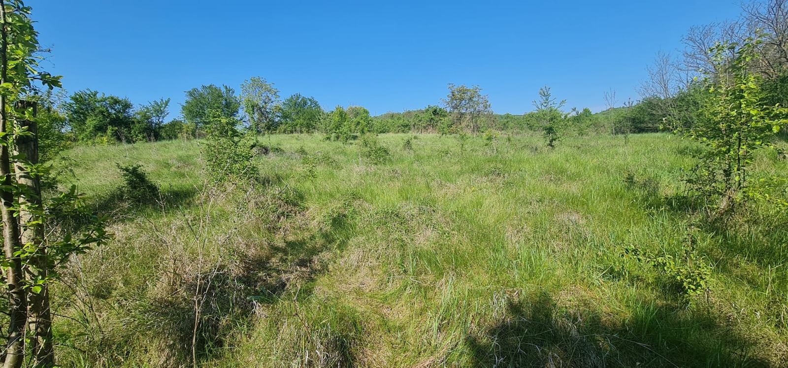 Продава КЪЩА, с. Лиляк, област Търговище, снимка 2 - Къщи - 51908333