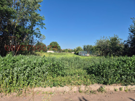 Juoni Tšepintsi, Sofia