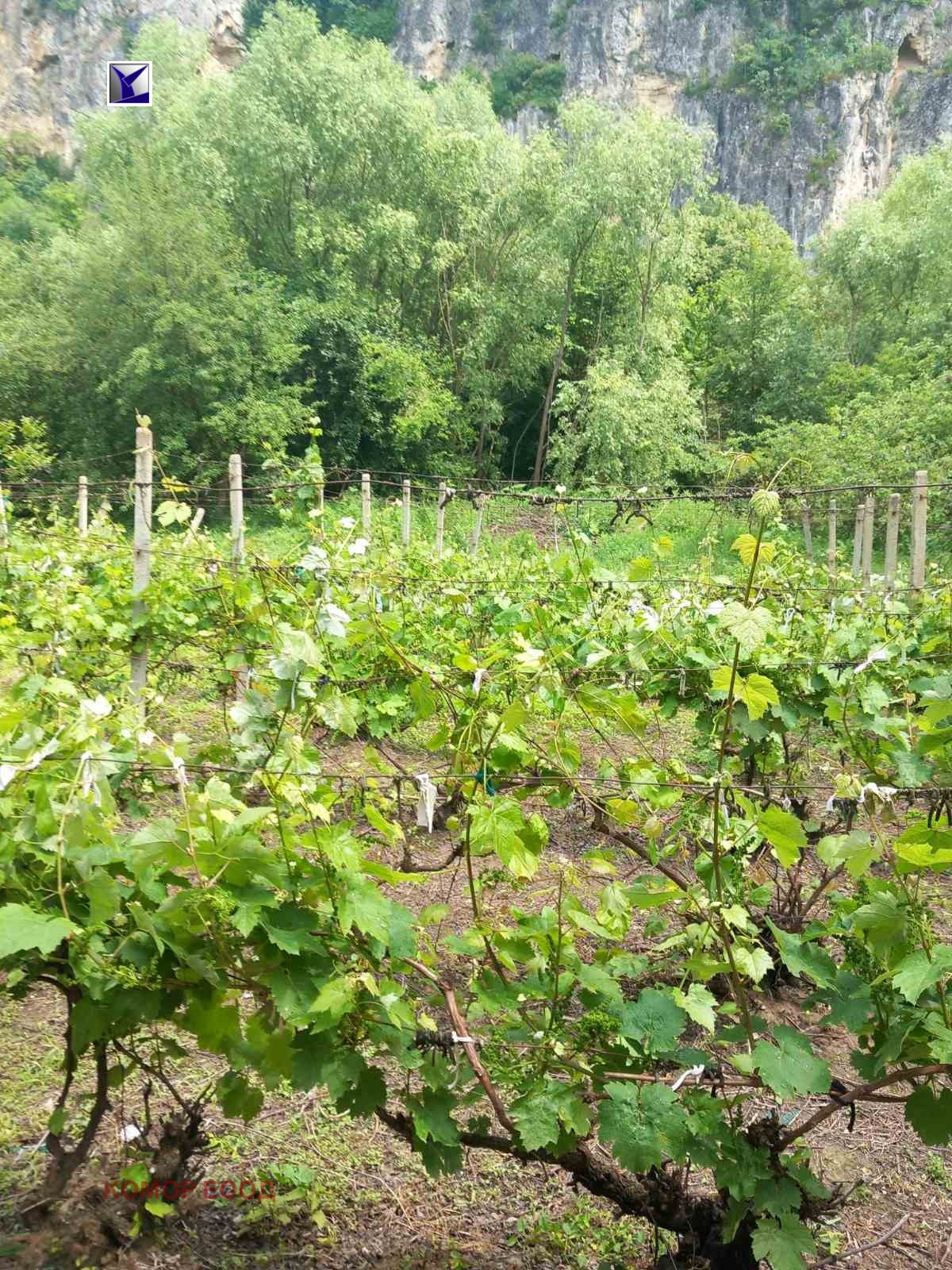 Продава КЪЩА | Imot.bg — изображение 6