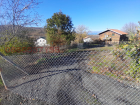 ����� ������� ������,�. ����, ������ ������