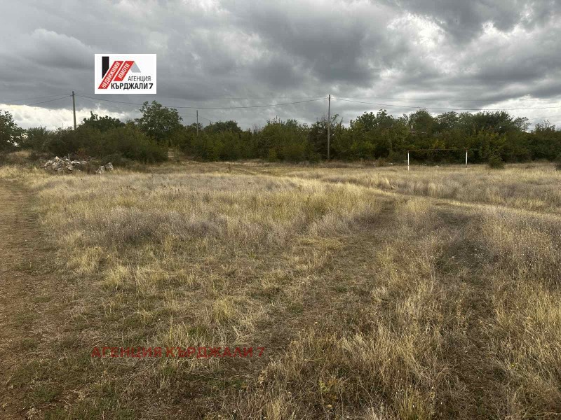 En venta  Trama Kardzhali , Prileptsi , 3045 metros cuadrados | 29019205 - imagen [2]