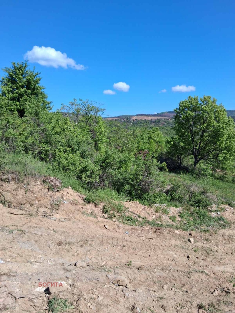 Продава  Парцел град Стара Загора , Студентско градче , 1000 кв.м | 44207670 - изображение [6]
