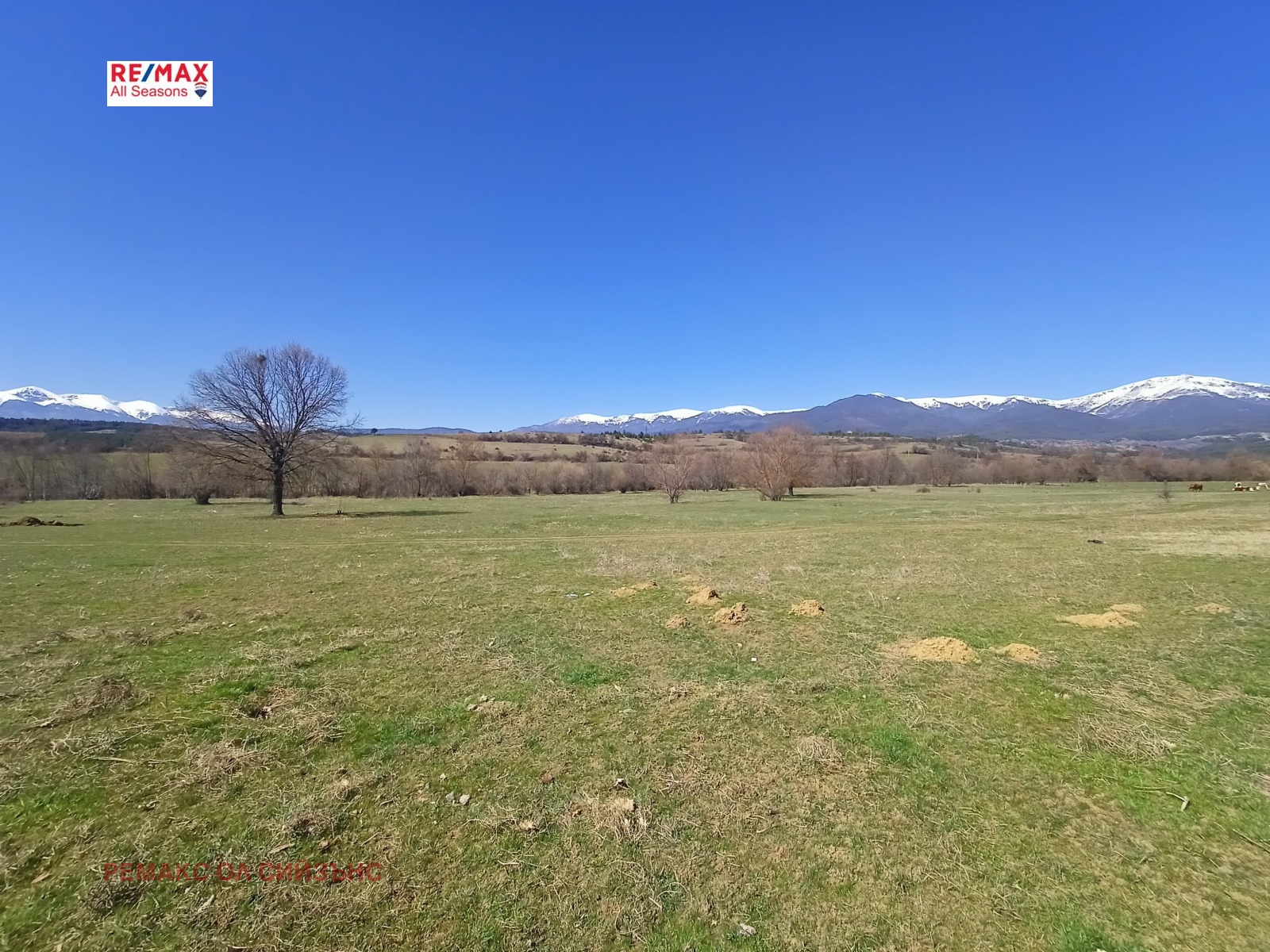 Продава ПАРЦЕЛ | Imot.bg — изображение 6