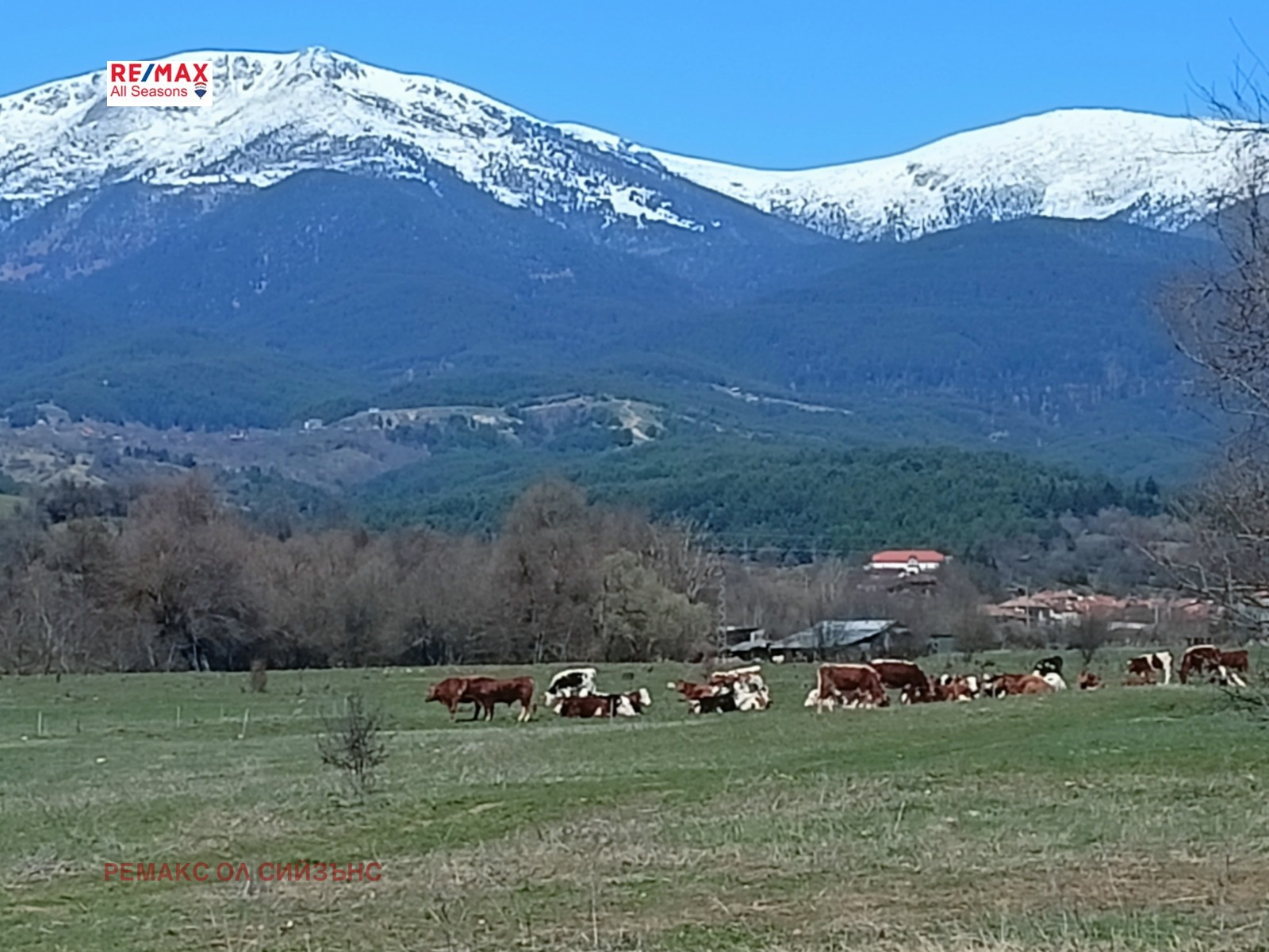 Продава ПАРЦЕЛ | Imot.bg — изображение 4