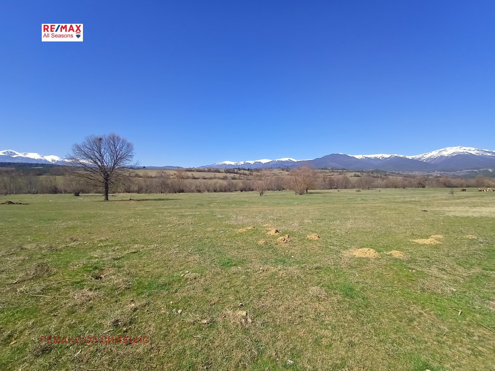 Продава ПАРЦЕЛ | Imot.bg — изображение 7