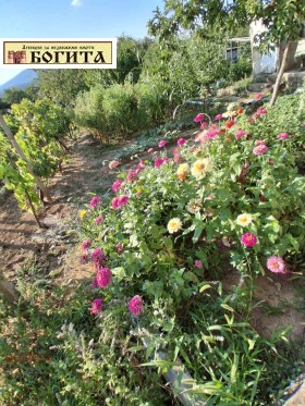 ������� ���� | Imot.bg � ����� ������ 2