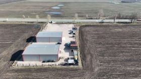 ����� ������� �����,��. ��������, ������ �����