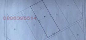 ����� ������� ������,�. ��������, ������ �����