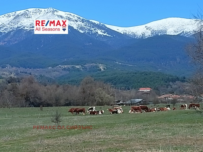 Till salu  Komplott region Blagoevgrad , Razlog , 2700 kvm | 79025759 - bild [4]