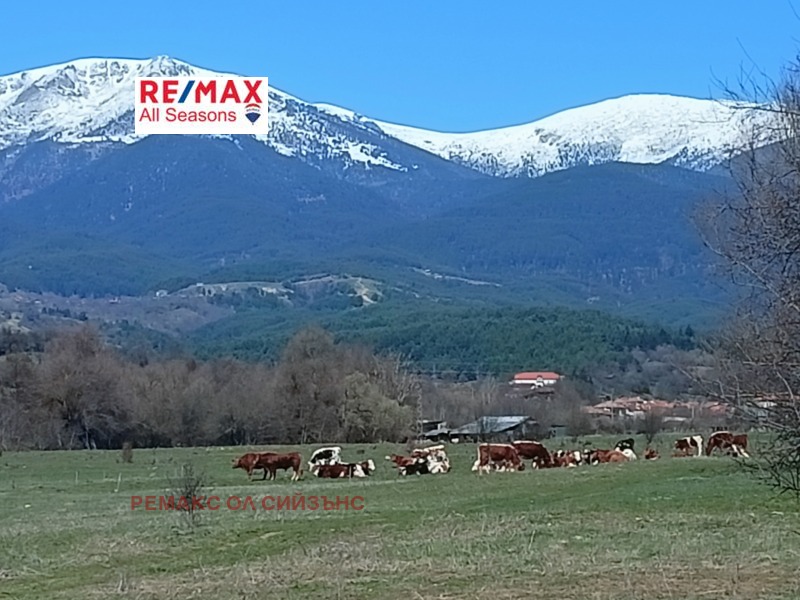 Till salu  Komplott region Blagoevgrad , Razlog , 2700 kvm | 79025759