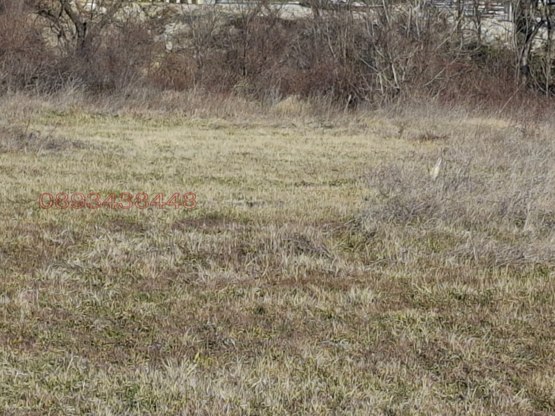 Продава ПАРЦЕЛ, гр. Варна, Виница, снимка 2 - Парцели - 52782144