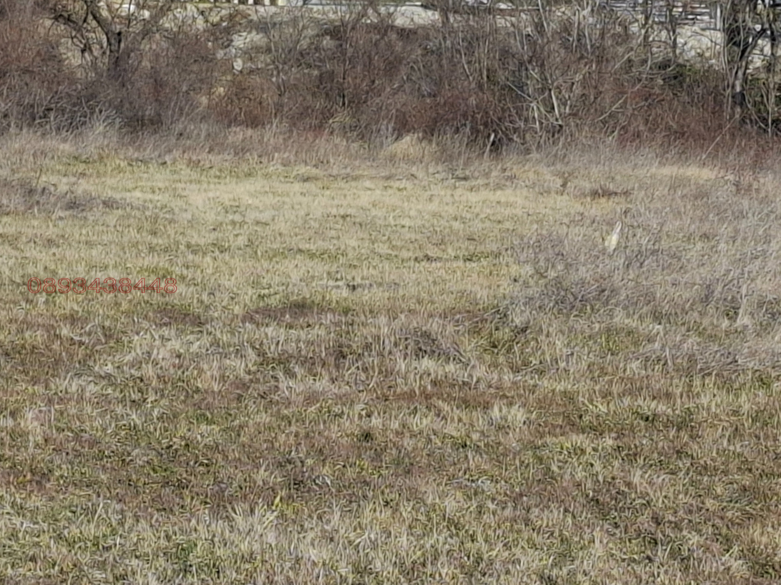 Продава ПАРЦЕЛ, гр. Варна, Виница, снимка 2 - Парцели - 53957931