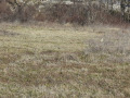 Продава ПАРЦЕЛ, гр. Варна, Виница, снимка 2