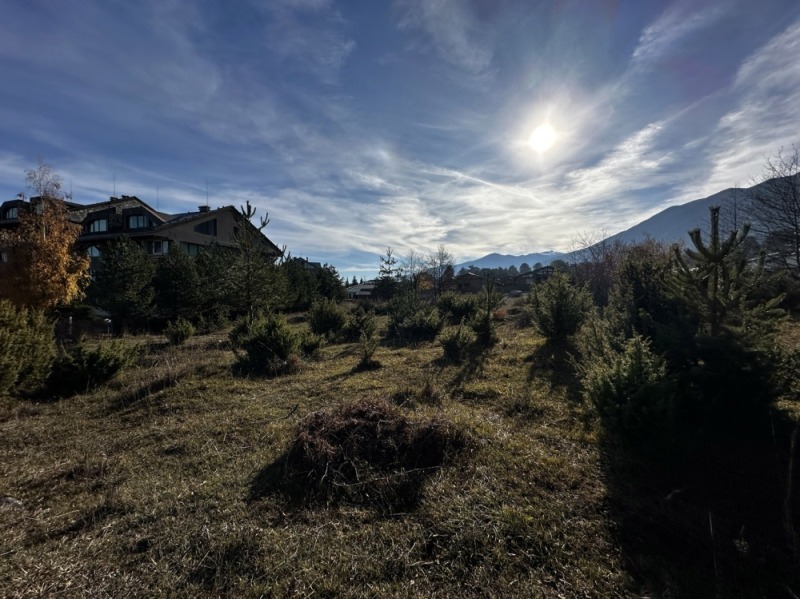 Продава ПАРЦЕЛ, гр. Разлог, област Благоевград, снимка 11 - Парцели - 52537754