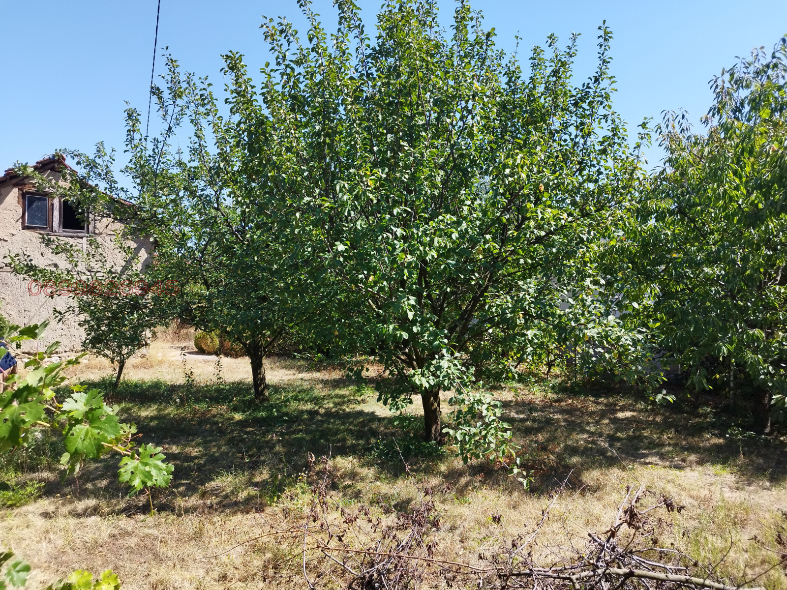 Продава КЪЩА, с. Червен брег, област Кюстендил, снимка 2 - Къщи - 56600384