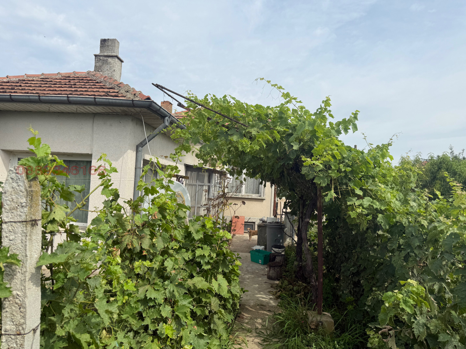 ������� ���� | Imot.bg � ����������� 6
