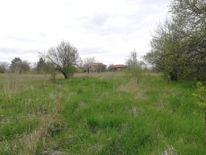 Продаја  Плот регион Перник , Кошарево , 5250 м2 | 44934100 - слика [3]