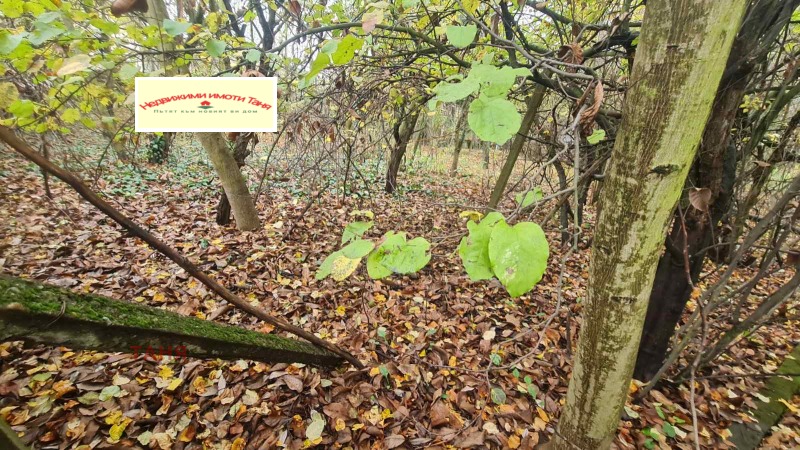 Продава ПАРЦЕЛ, с. Гълъбник, област Перник