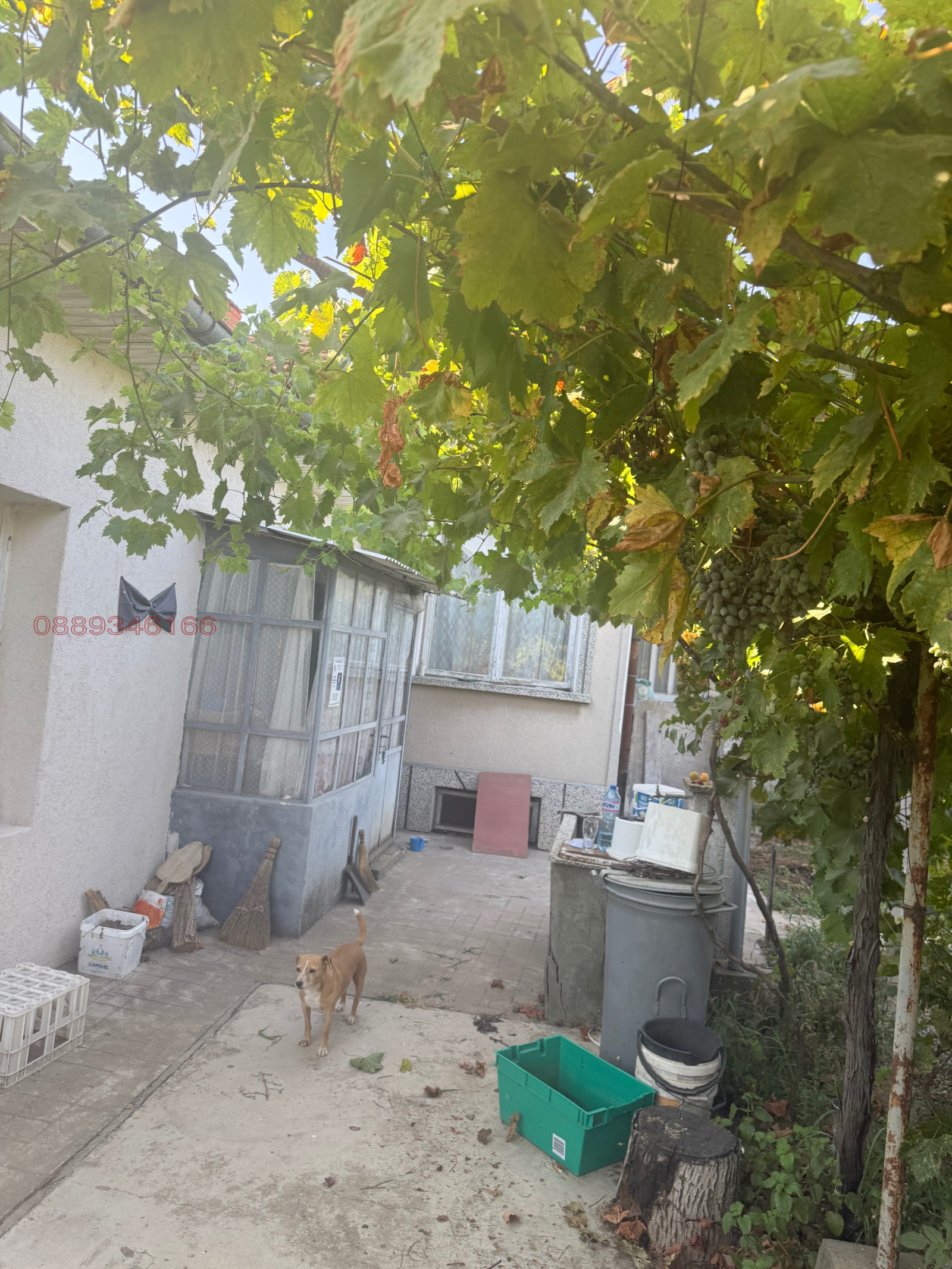 Продава КЪЩА, с. Калипетрово, област Силистра, снимка 15 - Къщи - 55782574