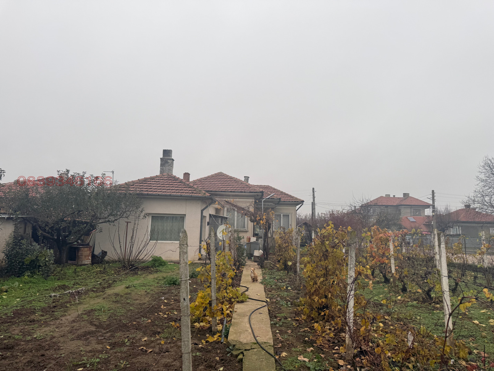 Продава КЪЩА, с. Калипетрово, област Силистра, снимка 2 - Къщи - 53808594