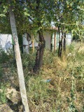 Продава  Парцел област Пловдив , с. Цалапица , 1040 кв.м | 48925791 - изображение [4]