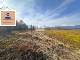 ������� ������ | Imot.bg � ����� ������ 8