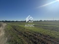 Продава ЗЕМЕДЕЛСКА ЗЕМЯ, гр. Пловдив, област Пловдив, снимка 1