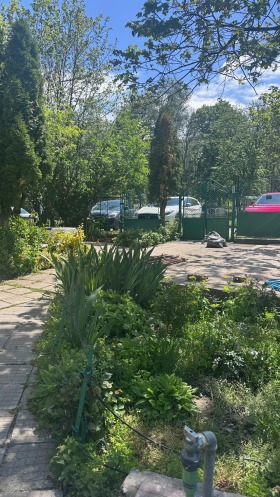 Etajul casei Cniajevo, Sofia 13