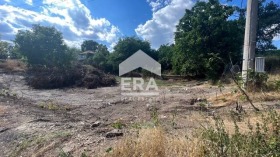 Plot Ignatievo, region Varna 3