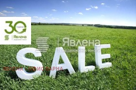 ������ ������� ������