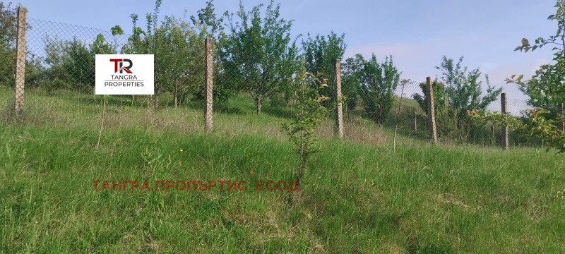 Продава  Парцел област Перник , с. Велковци , 870 кв.м | 34175497 - изображение [4]