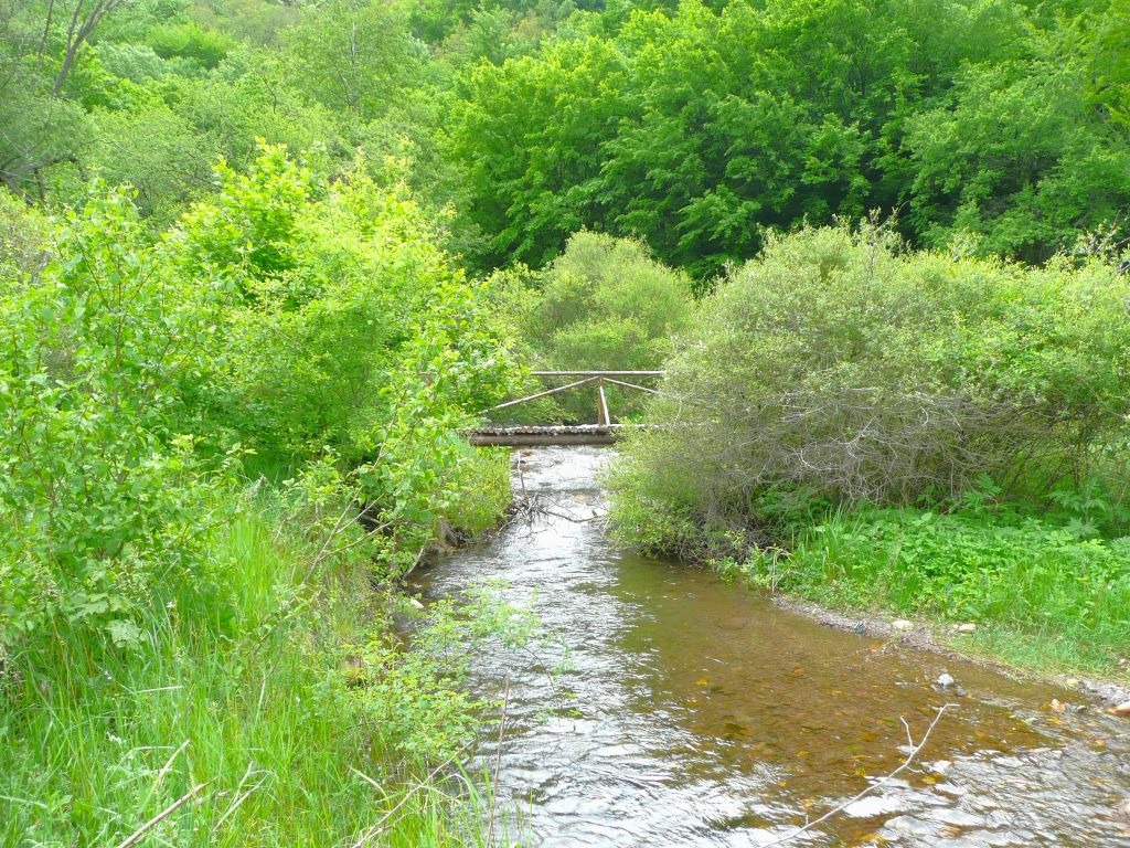 Продава КЪЩА, с. Боснек, област Перник, снимка 6 - Къщи - 55528307