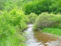 Продава КЪЩА, с. Боснек, област Перник, снимка 6