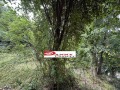 Продава КЪЩА, град Габрово, Център • 61400 € • 62801223 — Holmes.bg