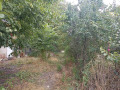 Продава ПАРЦЕЛ, област София, с. Голяновци • 80000 € • 46398040 — Holmes.bg