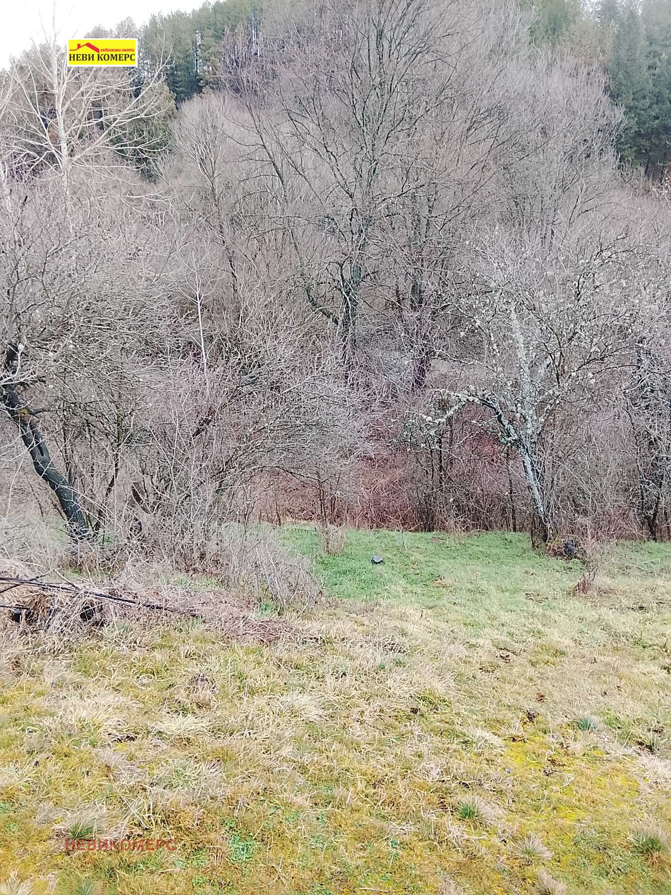 ������� ������ | Imot.bg � ����������� 1