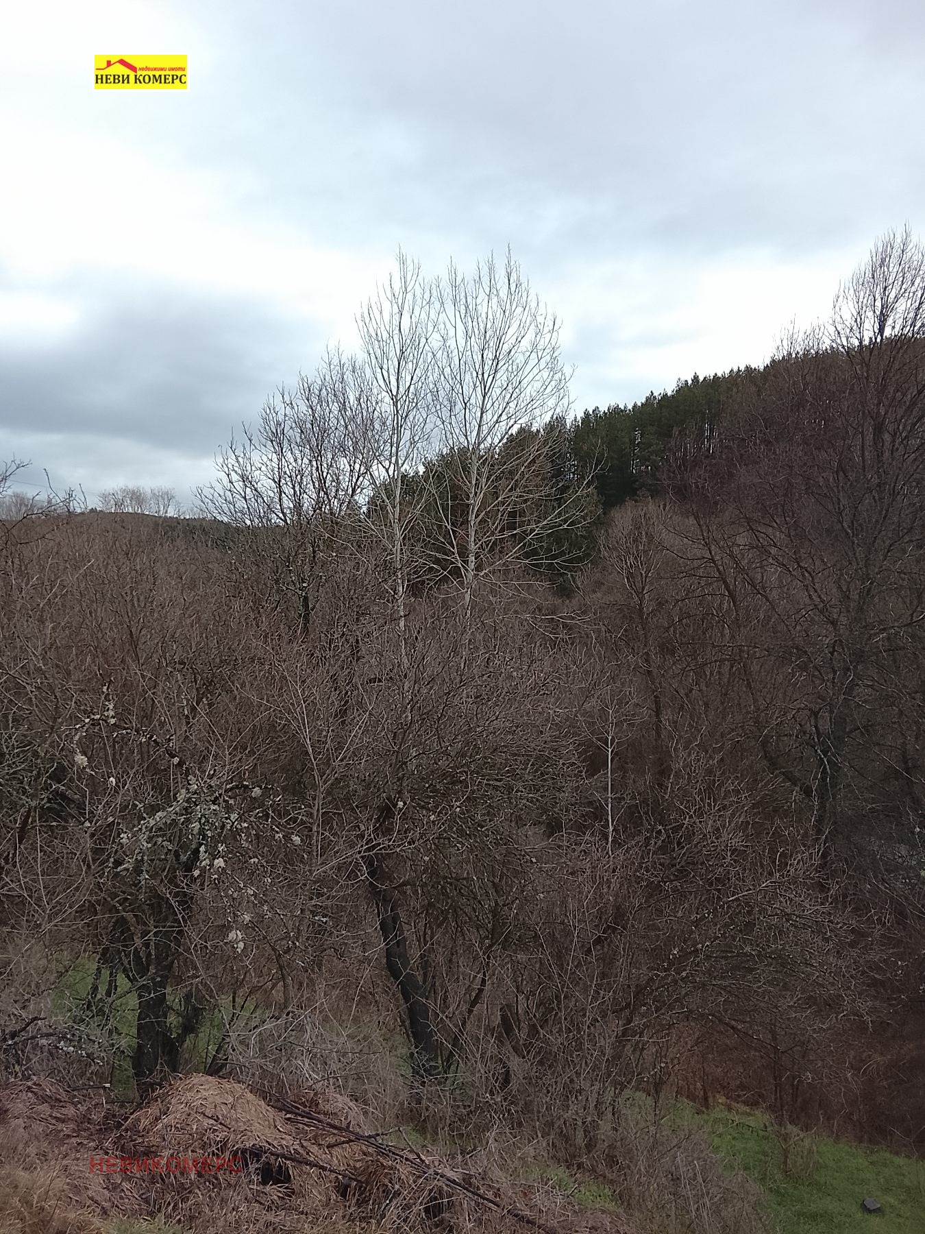 ������� ������ | Imot.bg � ����������� 2