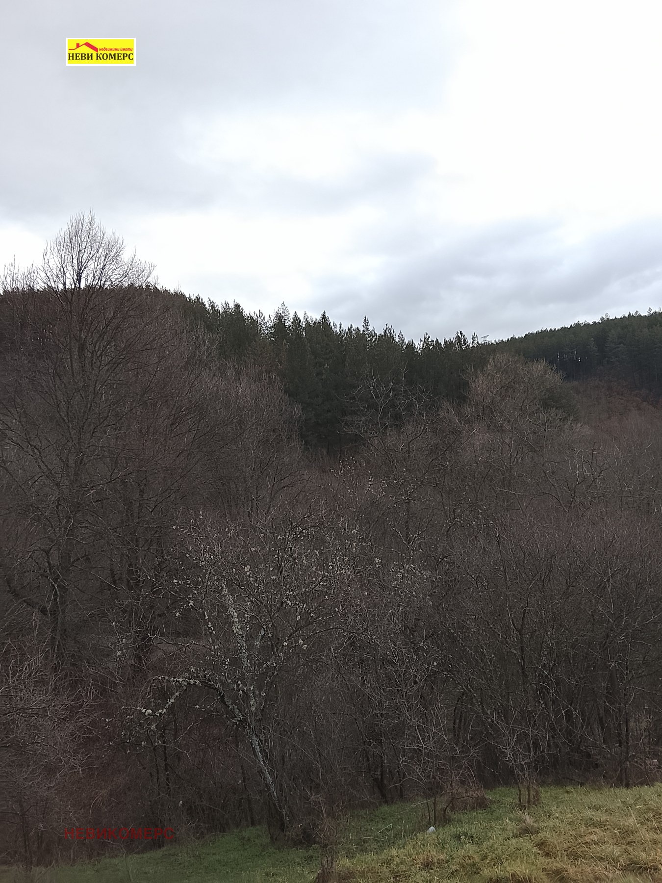 ������� ������ | Imot.bg � ����������� 3