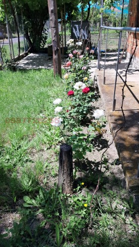 ������� ���� | Imot.bg � ����� ������ 5