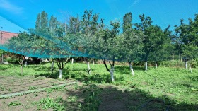 ������� ���� | Imot.bg � ����� ������ 8