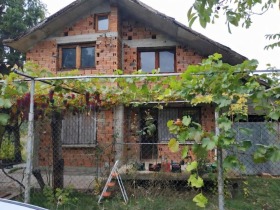 ������ ������� ����