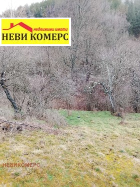 ����� ������� ������,�. �������, ������ �����