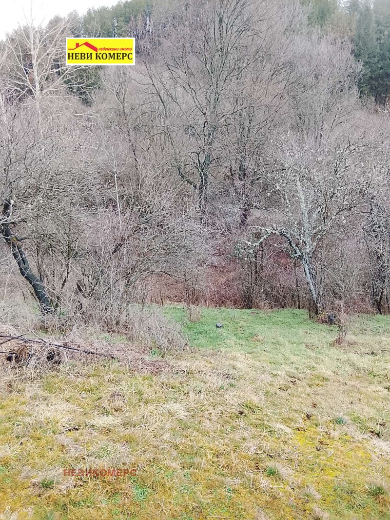 Продава ПАРЦЕЛ, с. Златуша, област София област