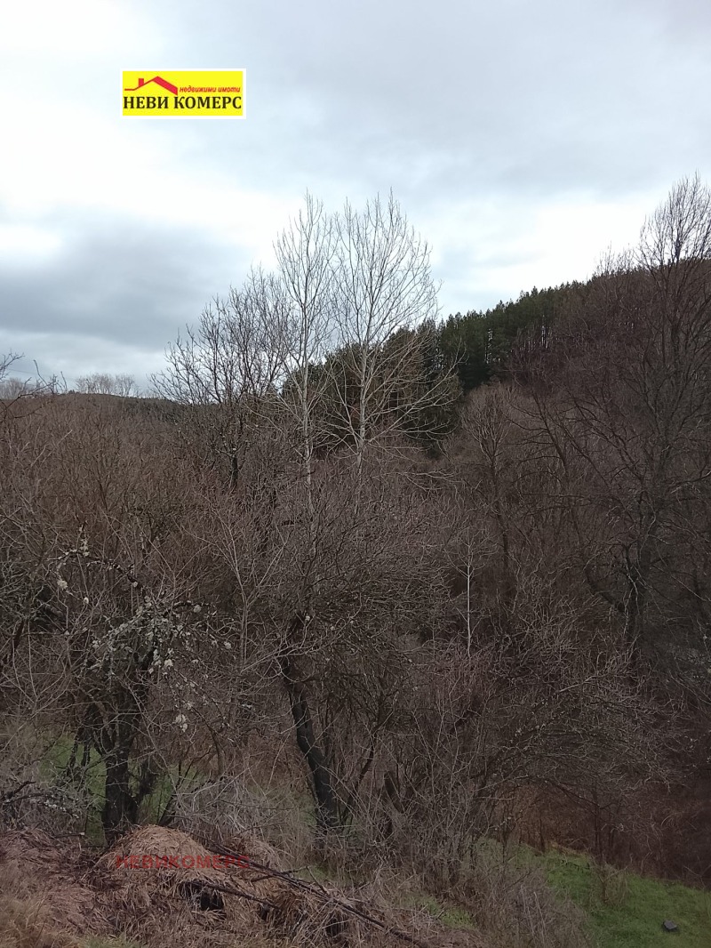 Продава ПАРЦЕЛ, с. Златуша, област София област, снимка 2 - Парцели - 53413258